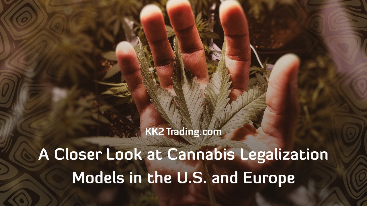 A Closer Look at Cannabis Legalization Models in the U.S. and Europe