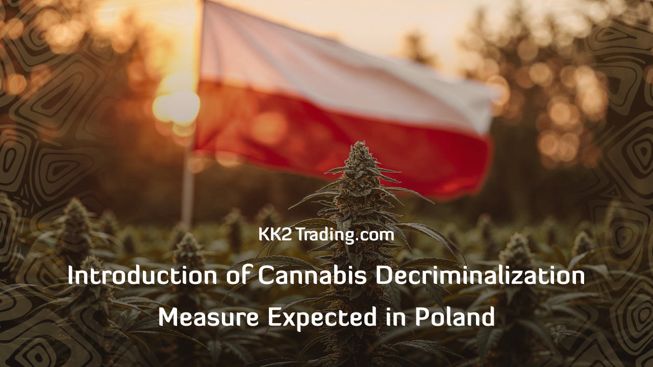 Introduction of Cannabis Decriminalization Measure Expected in Poland