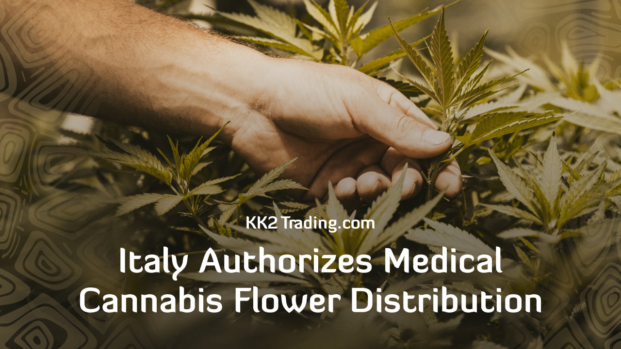 Italy Authorizes Medical Cannabis Flower Distribution: What It Means for KK2 Trading