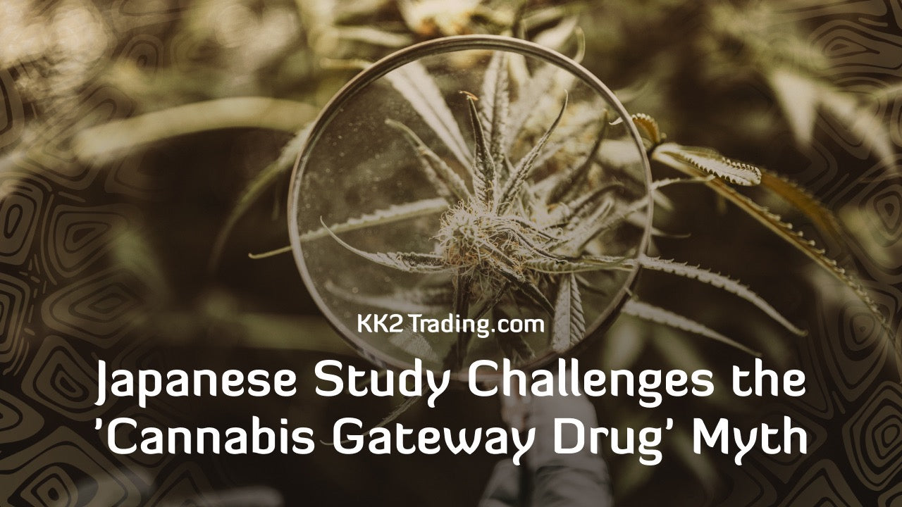 Japanese Study Challenges the 'Cannabis Gateway Drug' Myth