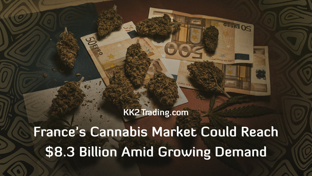France’s Cannabis Market Could Reach $8.3 Billion Amid Growing Demand